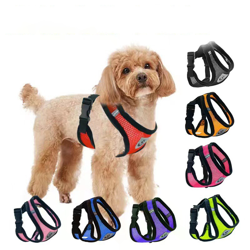 Heißer Sommer kleiner Hund Hau – Mini Trampoline Spring Bewertung und Preis