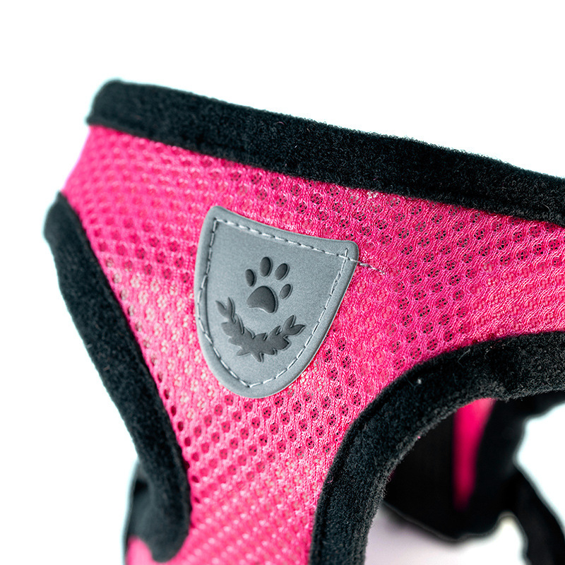 Heißer Sommer kleiner Hund Hau – Mini Trampoline Spring Bewertung und Preis