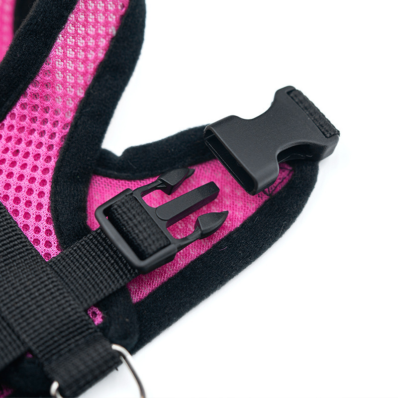 Heißer Sommer kleiner Hund Hau – Mini Trampoline Spring Bewertung und Preis